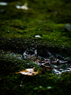 h4ilstorm:  PhoTones Works #2118 (by PhoTones_TAKUMA)