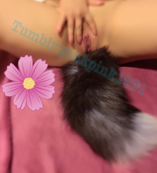 pinkpink1991: 最近因為迷線上遊戲都沒回來Tumblr 趕快發張照片來給各位 小花最近沒野外露出因為太冷了啦！ 提前祝各位聖誕快樂！ 喜歡小花要多幫小花分享唷 小花跑去玩天堂了咩？屁股插尾