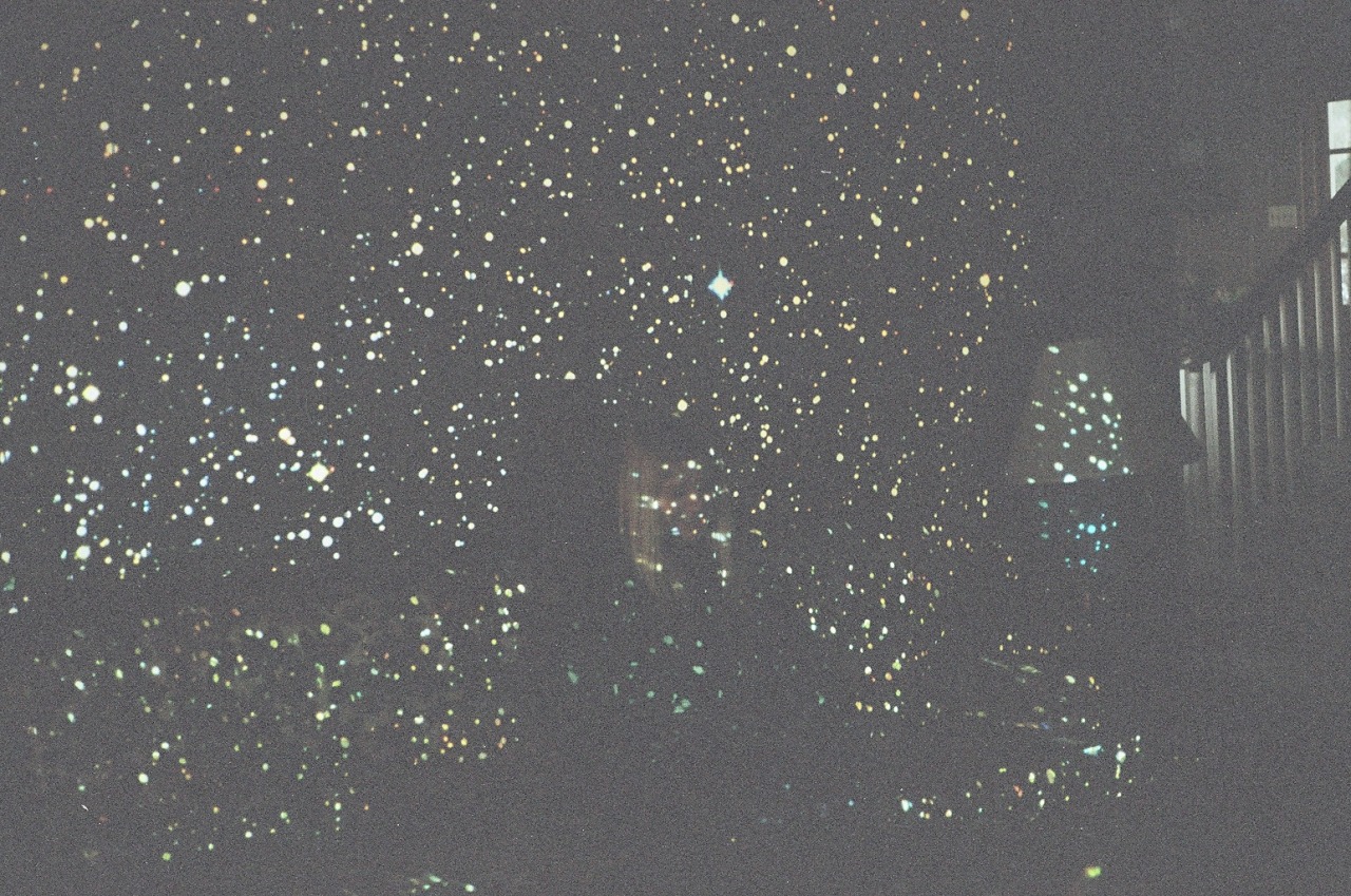 dressingcold:  Tigers Jaw “Hum” video shootWilkes-Barre, PAMarch 2014Website