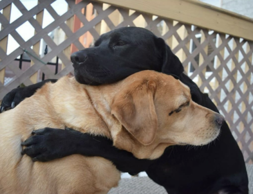 the-shed-au:  grin-n-sin: Adorable! Love them! 💜💜💜💜 As real as it gets.(I hope you’re paying attention.):)