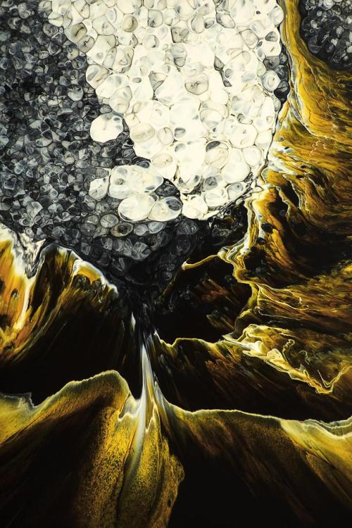 The Petri Dish Project - Individuation (series) / By J.D Doria / Photography Shaw Gadi Raz /  S