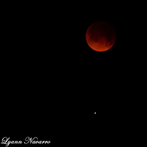 boricualyann:  #Eclipselunar #LunaRoja #Caguas #Puerto_Rico