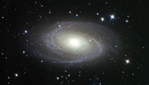 space-wallpapers:Messier 81 - Bode’s Galaxy (desktop/laptop)Click the image to download the co