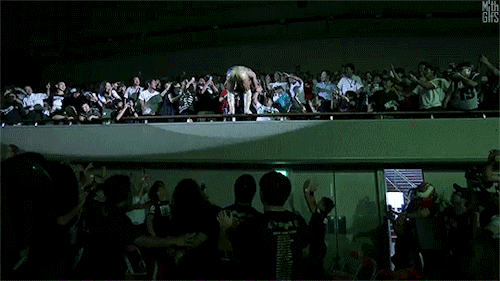 mith-gifs-wrestling:  Fan Appreciation Moment adult photos