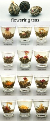 sagefae:  Flowering Teas 