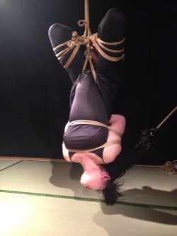 thevertigonetwork:  Kinbaku ChiakiModel Ryuto Karen 