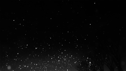 oriondiary:‘‘In the middle of the night, snow brings happiness to my heart…’‘