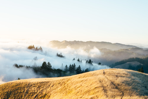 One of my favorite places in the bay area, Mount Tamalpais Photos by austinrheeInstagram: www.instag