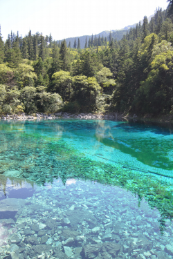 expressions-of-nature:  Purity : Jiuzhaigou, China : Clint Grady