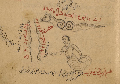 Several permutations of serpents on fol. 151r of LJS 414, an astrological compendium written at the 