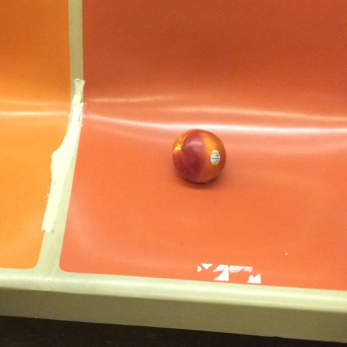 lateaugust1998:Spotted on the subway, a lone nectarine on an adventure