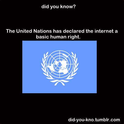 did-you-kno:  A United Nations report said that disconnecting people from the internet