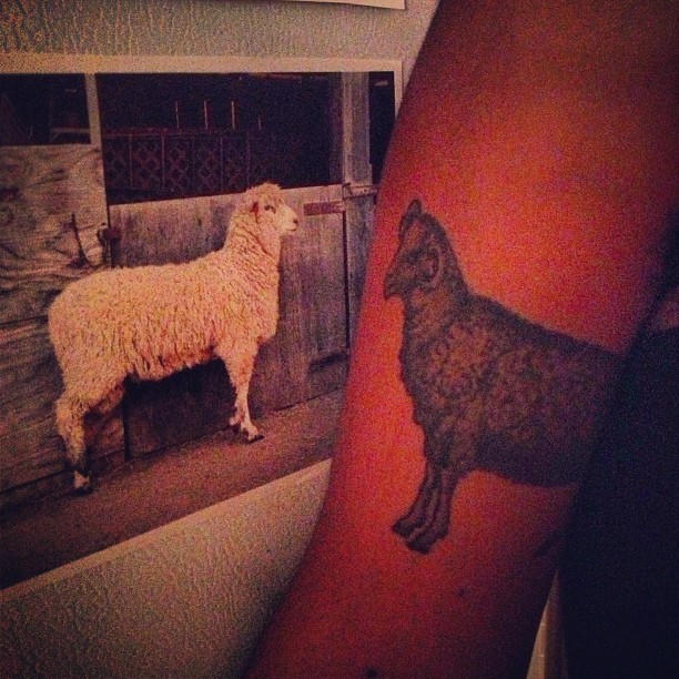 lamby meets lamby (via doitmylove)