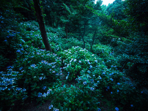 90377:PhoTones Works by Takuma KimuraWeb Site(JP):Takuma Web Site