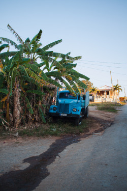 leilascompanion:  Vinales,Cuba 2015