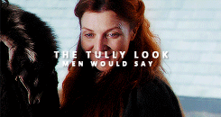 sansalayned:  Catelyn Tully and Sansa Stark + parallels(requested by @elzabetholsens)