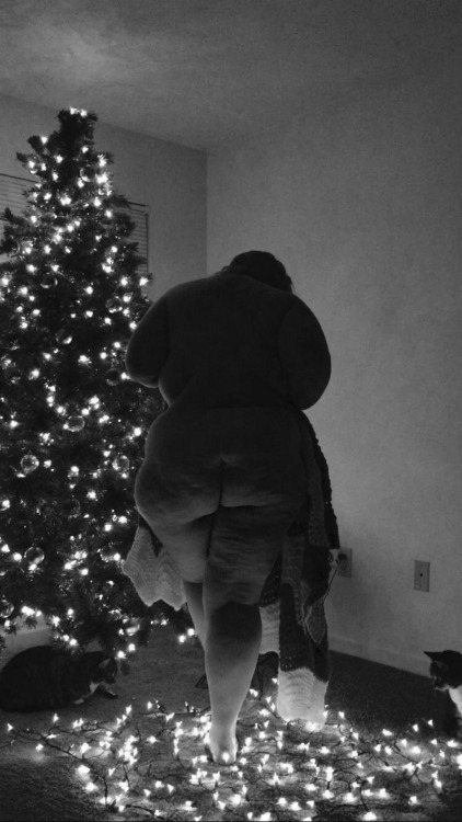 ox-miss-a:  December 2nd, 2015 Black & white & in front of the tree.