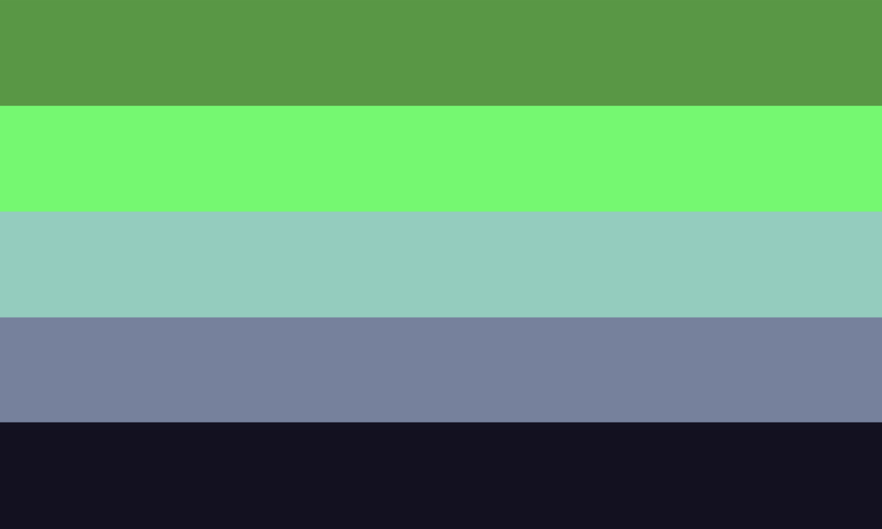 Flag ID: A flag with 5 horizontal stripes. They are dark green, cool green, white-blue, cool gray, and dark gray. End ID.