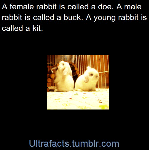ultrafacts:  Sources: 1 2 3 4 5 6 7 8 9 10 Follow Ultrafacts for more facts