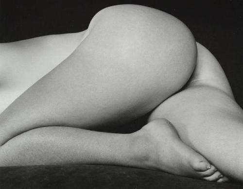 the–elusive–muse - Edward Weston - the greatest American...