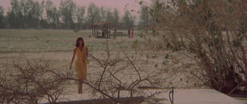 wkwz:  3 Women (1977) dir. Robert Altman