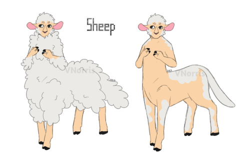 Have a minecraft sheep centaur