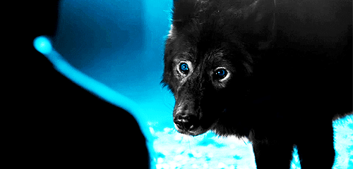 teenwolf:  Mama Hale! 