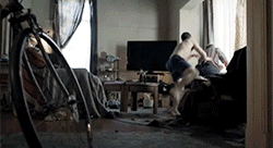 clever-grl:  Were you surprised? I wasn’t surprised. 