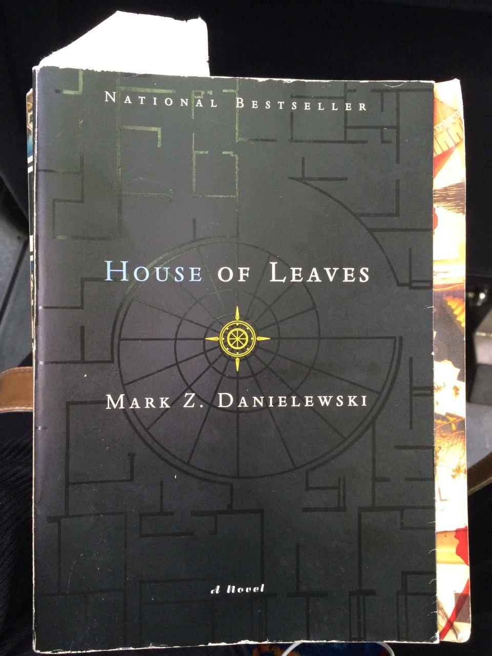 bibliobibul-i:  So I’m trying to read House of Leaves but it’s SO LONG. I’m