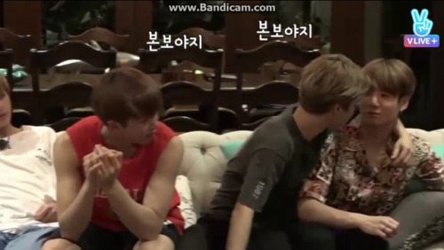 Jikook Ples