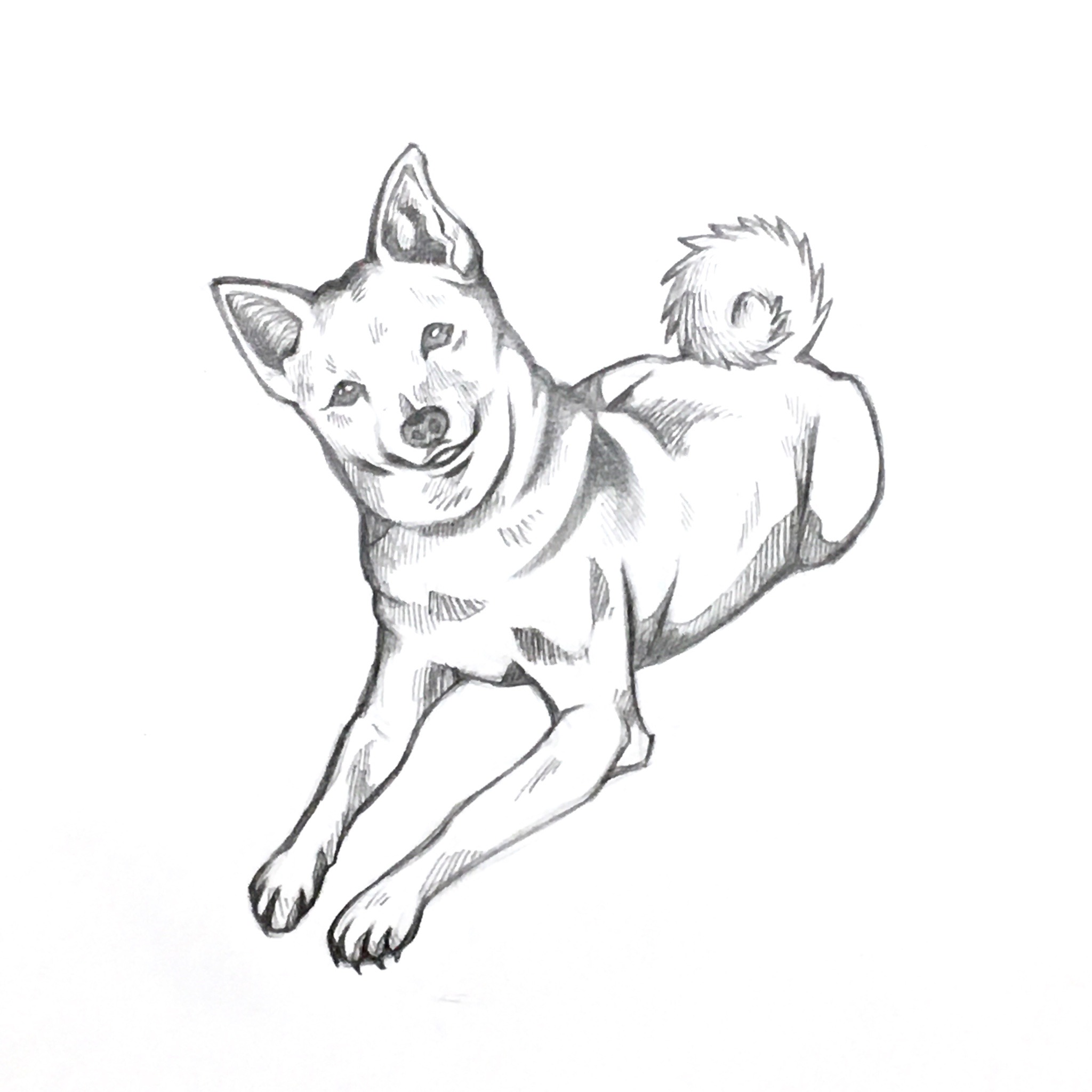 ペット似顔絵 Explore Tumblr Posts And Blogs Tumgir ペット似顔絵 Explore Tumblr Posts And Blogs Tumgir