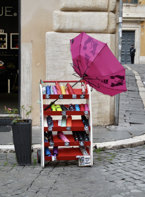 Il periodo natalizio in Italia - Il portaombrelli, Roma, 2019.