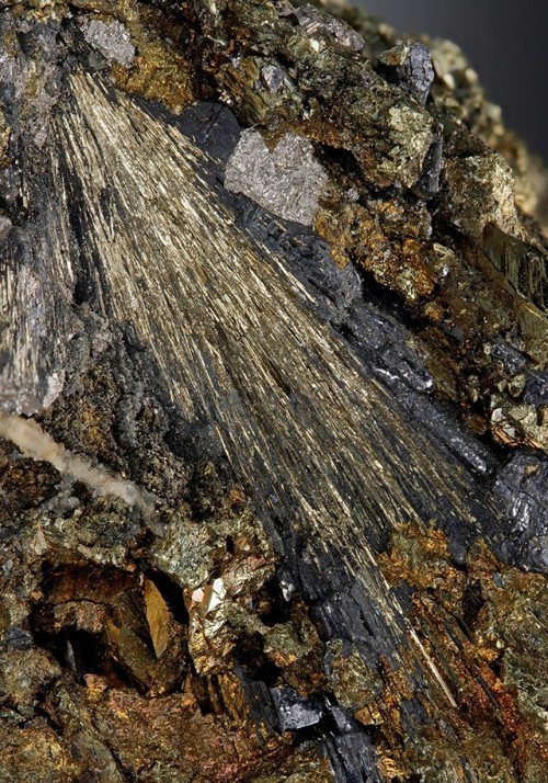 Millerite with Chalcopyrite and Galena - Victoria Mine, Siegerland, Germany