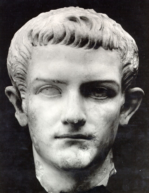 sisterspock:gplanciano:Joffrey Baratheon and Gaius Julius Caesar Germanicus, more commonly known as 