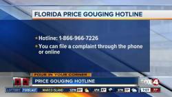 aniyousmindpool: Friendly reminder to everyone in Florida that price gouging is illegal in times of emergency. If you see extremely jacked up prices for gas, water and non perishable food items you can report them to this hotline in the state of Florida.