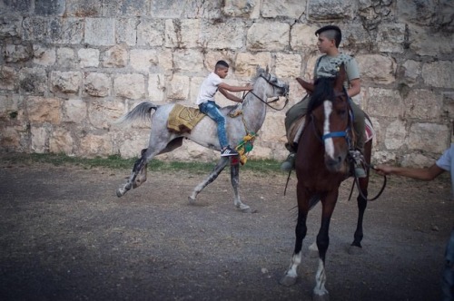 Eid al Fitr, Jerusalem Old City #eidmubarak #eidalfitr #eidelfitr #jerusalem #oldcity #damascusgate 