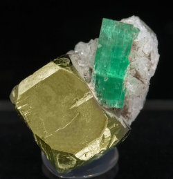 bijoux-et-mineraux:  Emerald with Pyrite