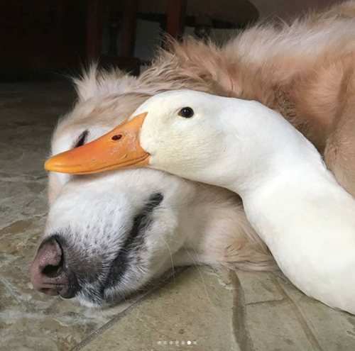 I Wouldn’t Show Mom