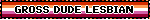 a blinkie with the lesbian flag in the background and black text that reads 'GROSS DUDE LESBIAN'