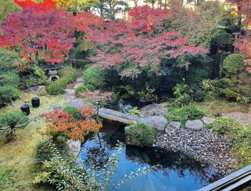 吉備路文学館“北泉庭” [ 岡山県岡山市 ] Kibiji Literary Museum Garden, Okayama の写真・記事を更新しました。 ーーかつて中国銀行の寮に作庭された庭園。岡山後