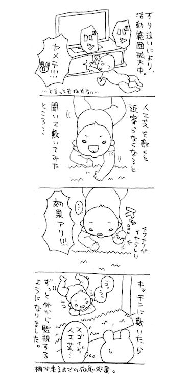meshio:  緑の結界 