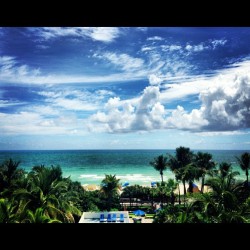 stephsdope:  Hello Miami 😍 I missed you…