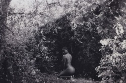 beyonce-huxtable:  So a few weeks ago humanceeviche took some cool pictures of me in the forest.