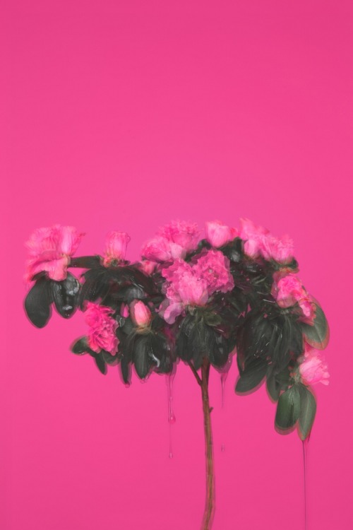 aestheticgoddess:  KATARZYNA PAREJKO