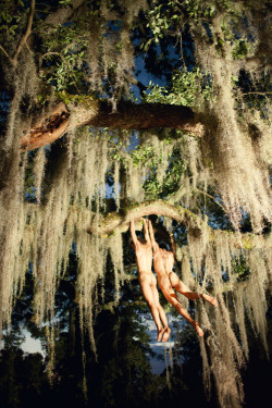 sean-clancy:Spanish Moss, 2013 by Ryan McGinley