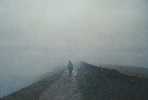 cerceos:  Thomas Luong Bavington - Whernside