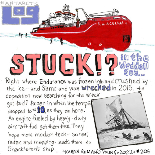 Amundsen was the first. Scott died trying. But Karen Romano Young makes the case that Shackleton is 