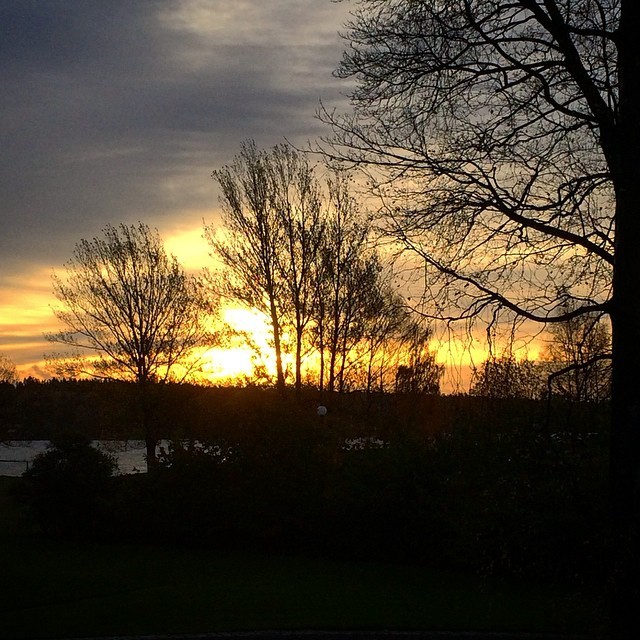 mssecretary:  Vinterlys #light #sunrise #sky #clouds #ic_skies #oslo #sollerudstranda