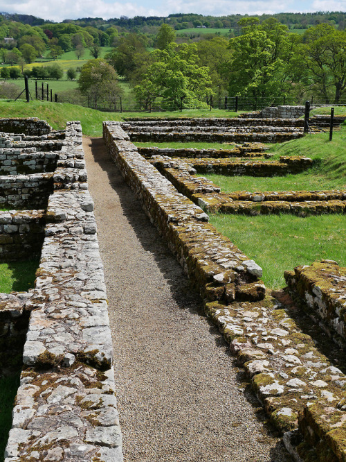 Barracks and Stables, Chesters Roman Fort, Hadrian’s Wall, 13.5.18.