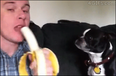 reblog-gif:  http://reblog-gif.tumblr.com/